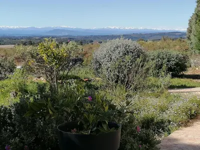 a garden with a large pot of plants at Gîte Les Romarins Vue exceptionnelle ! in Saint-Jean-de-Minervois