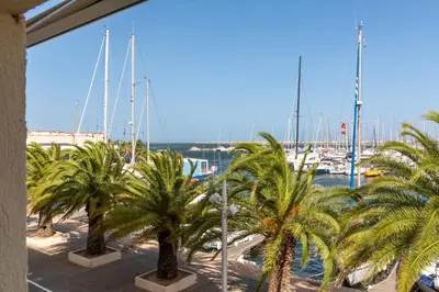 a group of palm trees in a marina with boats at Studio cabine Viktoria in Gruissan