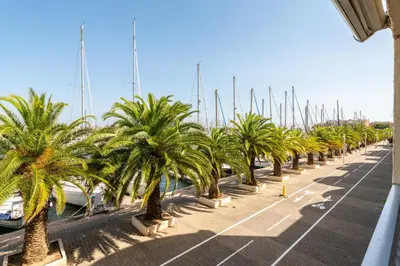 a row of palm trees in a parking lot at Studio cabine Viktoria in Gruissan