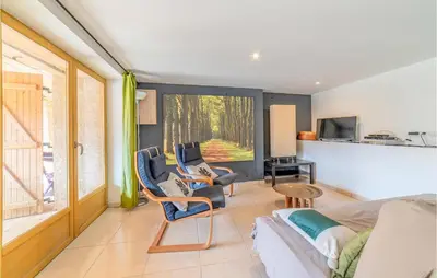 a living room with a couch and chairs and a tv at Awesome Home In Pardailhan With Kitchen in Pardailhan