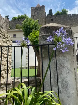 a fence with purple flowers on it with a castle in the background at La Maison de La Tour Pinte in Carcassonne
