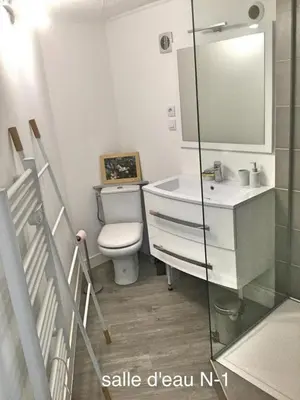 a bathroom with a toilet and a sink and a mirror at Horizon Caramany : un havre de douceur, vue lac ! in Caramany