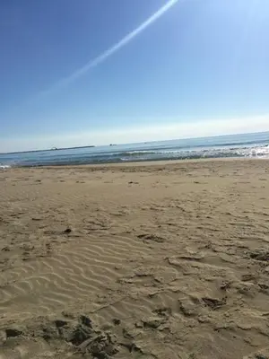 a sandy beach with a kite flying over the ocean at Pavillon in Port-la-Nouvelle