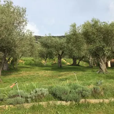 Le Camping de Cucugnan