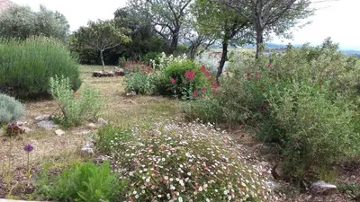 a garden with flowers and plants in a field at Les romarins in Saint-Jean-de-Minervois