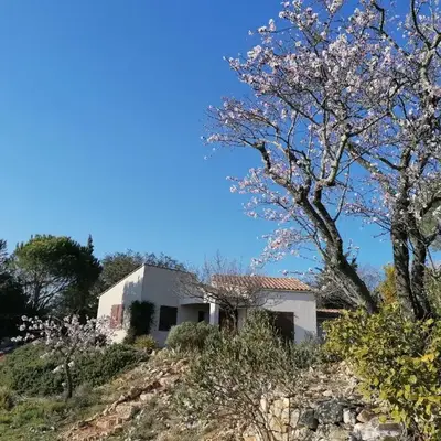 Les romarins