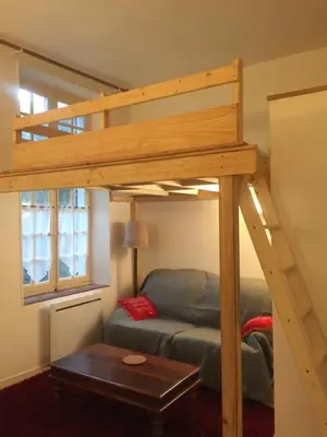 a loft bed in a living room with a couch at Cosy, calme et authentique au coeur de ville in Carcassonne