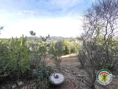 a field with trees and a frisbee on the ground at Le janabel in Prades-sur-Vernazobre