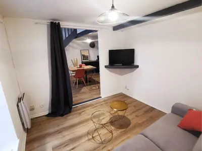 a living room with a couch and a tv at Superbe appartement au cœur du centre ville in Carcassonne