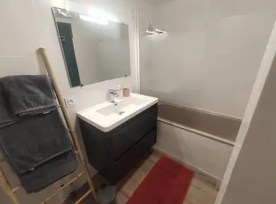 a bathroom with a sink and a mirror at Superbe appartement au cœur du centre ville in Carcassonne