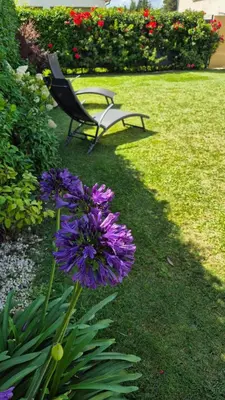 a bench sitting in a yard with purple flowers at Lodge Marie in Villegailhenc