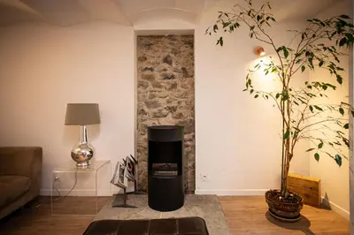a living room with a fireplace and a plant at Beautiful converted one bedroom apartment in Carcassonne