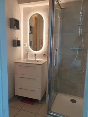 a bathroom with a shower and a sink and a mirror at les jardins de l'archevêché in Narbonne