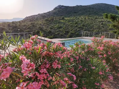 a pool with pink flowers in front of a mountain at Lodge d'Œnotourisme avec vue imprenable ! in Vingrau