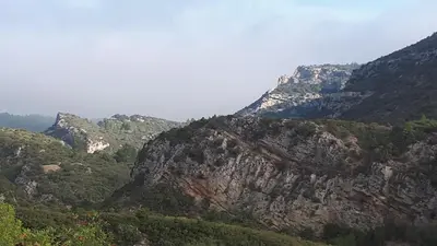 a group of mountains with trees on them at Gîte dans ancienne bergerie en pleine garrigue in Fraissé-des-Corbières