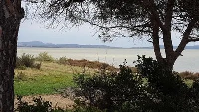 a view of a body of water with a tree at Gîte dans ancienne bergerie en pleine garrigue in Fraissé-des-Corbières