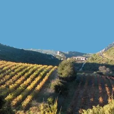 Gîte dans ancienne bergerie en pleine garrigue
