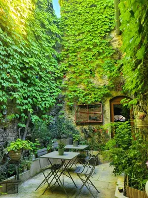 a patio with two tables and a wall covered in ivy at Chambre d'hôte Au Jardin Le clos des vins d'Anges in Saint-Pierre-des-Champs