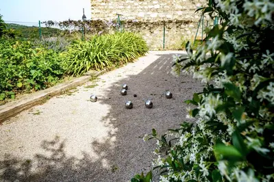 a group of birds sitting on the ground at Côté Vignes à Bélesta in Bélesta