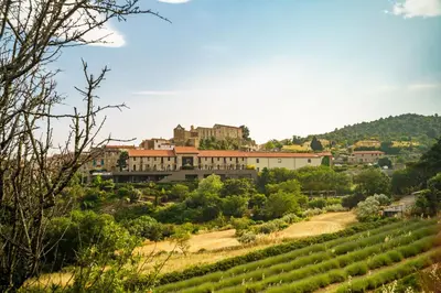 a town on a hill with a vineyard at Côté Vignes à Bélesta in Bélesta