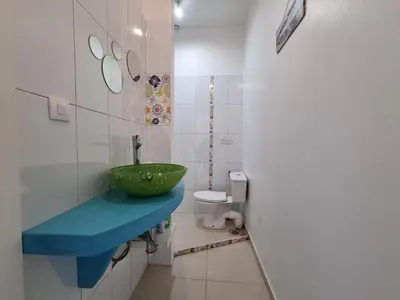 a bathroom with a green sink and a toilet at Clos des Oliviers in Oupia