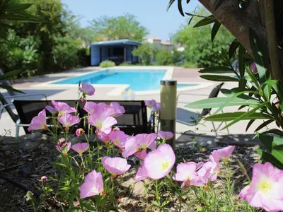 a bunch of pink flowers in front of a pool at Clos des Oliviers in Oupia