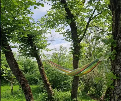 a hammock hanging from two trees in a forest at Les pieds en éventail in Lignairolles