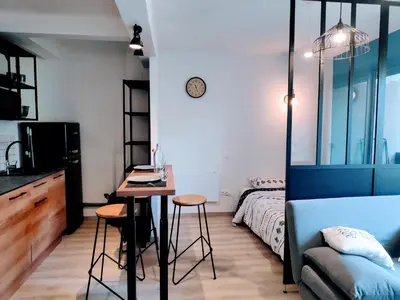 a living room with a couch and a brick wall at Charmant studio, cœur de ville in Narbonne