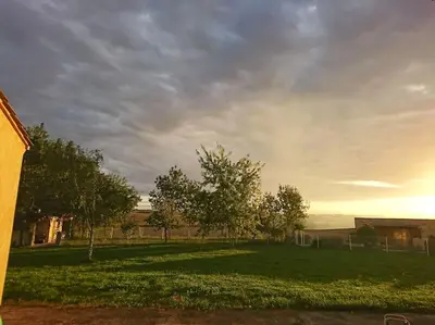 a green field with trees and a cloudy sky at Adorable guest house with piscine and spa in Lempaut