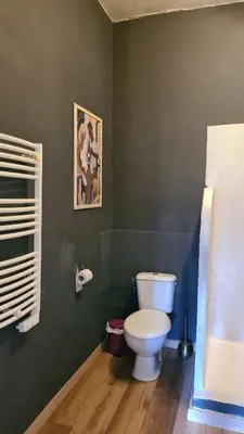 a bathroom with a white toilet in a green wall at Gîte du caveau in Marcorignan