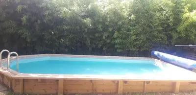 a large swimming pool in front of some trees at Maison Occitane in Saint-Nazaire-dʼAude