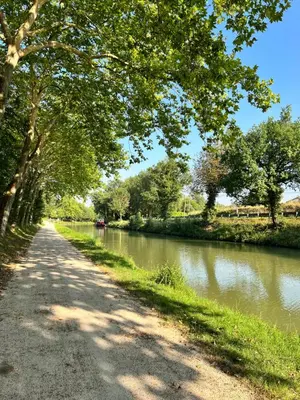 a tree lined road next to a river at Péniche Dondon - Gîte cocooning sur Canal du midi in Avignonet-de-Lauragais