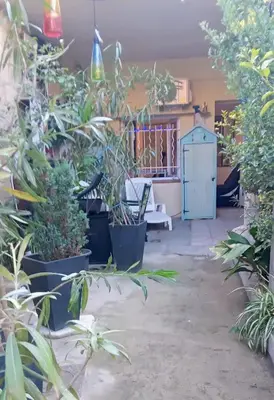 a room filled with lots of plants at Joli Studio avec jardin in Espira-de-lʼAgly