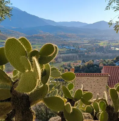 a cactus with mountains in the background at Gite du grand cèdre in CampÃ´me