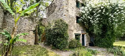 an old stone building with a flowering tree next to it at Gite du grand cèdre in CampÃ´me