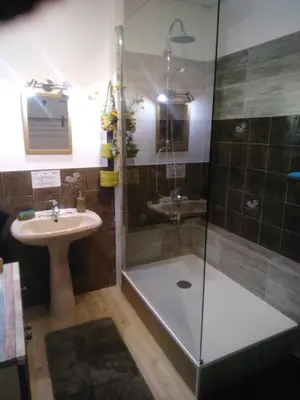 a bathroom with a shower and a sink at Les chambres de Sophie in Chalabre