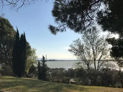 a view of a lake from a park with trees at Le Gîte du Canal, à Homps. in Homps
