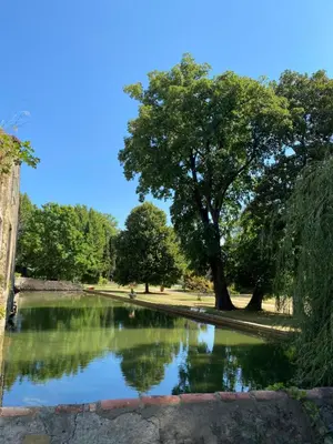 a pond in a park with a tree in the background at Gîte Superbe L'Ecurie XIXème in Sallèles-dʼAude
