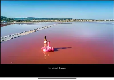 a girl is standing on an elephant in the water at Joli gîte chic et cosy entre mer et Narbonne in Narbonne