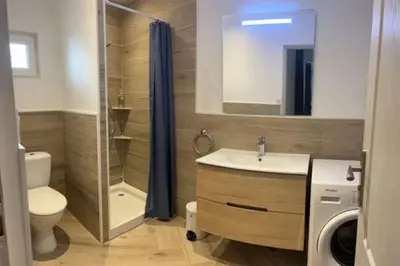 a bathroom with a sink and a toilet and a shower at Appartement Terrasse proche centre et canal in Narbonne