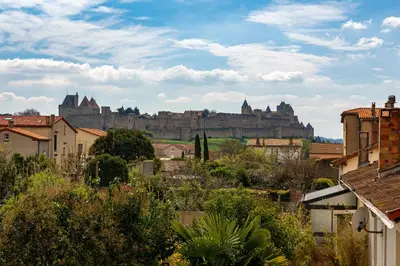 a city with a castle in the background at Maison, piscine & vue sur la Cité de Carcassonne in Carcassonne
