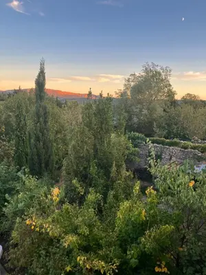 a view of a garden with trees and bushes at Gite Studio Les Maisons de Gaïa in Tuchan
