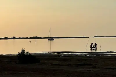 two people on a beach with a horse in the water at Superbe appartement rénové avec vue magnifique in Gruissan
