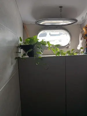 a plant sitting on top of a black cabinet at Loc de cabines sur Yacht in Gruissan
