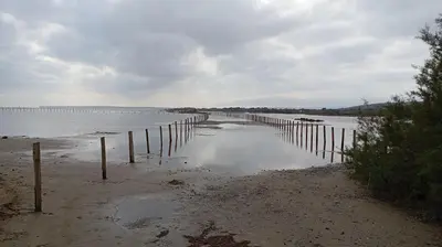 a beach with a fence in the water at Studio Plage 200m Parking gratuit Port la Nouvelle in Port-la-Nouvelle