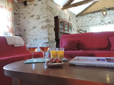 a table with two glasses of wine and a book at Gîte LA FENIAL in Montredon-Labessonnié