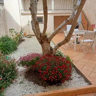 Le Patio