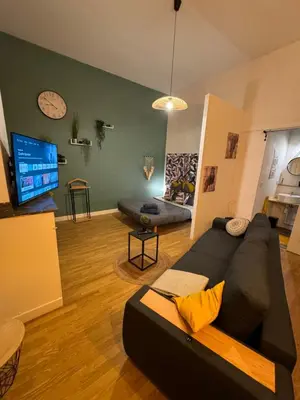 a living room with a black couch and a tv at Charmant appartement climatisé aux pieds de la cité in Carcassonne