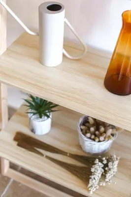 a shelf with a roll of toilet paper and a plant at Studio avec parking vue sur la Cité de Carcassonne in Carcassonne