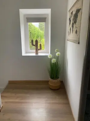 a room with a window and a potted plant at Gîte chaleureux au cœur du village in Roquetaillade